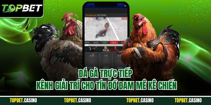 đá gà trực tiếp