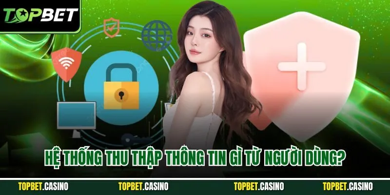 Hệ thống thu thập thông tin gì từ người dùng?