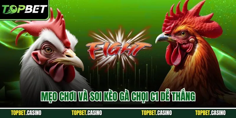 Mẹo chơi và soi kèo gà chọi c1 dễ thắng