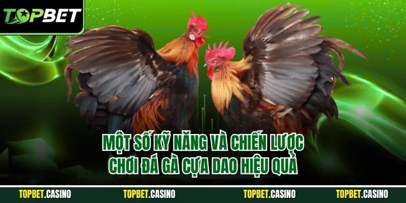 Một số kỹ năng và chiến lược chơi đá gà cựa dao hiệu quả
