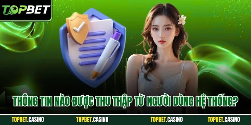 Thông tin nào được thu thập từ người dùng hệ thống?