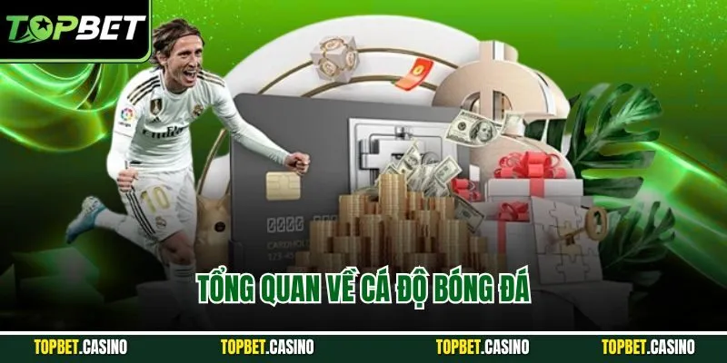 Tổng quan về cá độ bóng đá