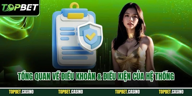 Tổng quan về điều khoản & điều kiện của hệ thống