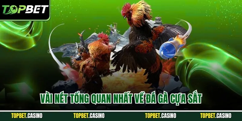 Vài nét tổng quan nhất về đá gà cựa sắt